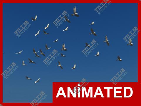 images/goods_img/2021040233/Realistic animated flying bird flock/1.jpg